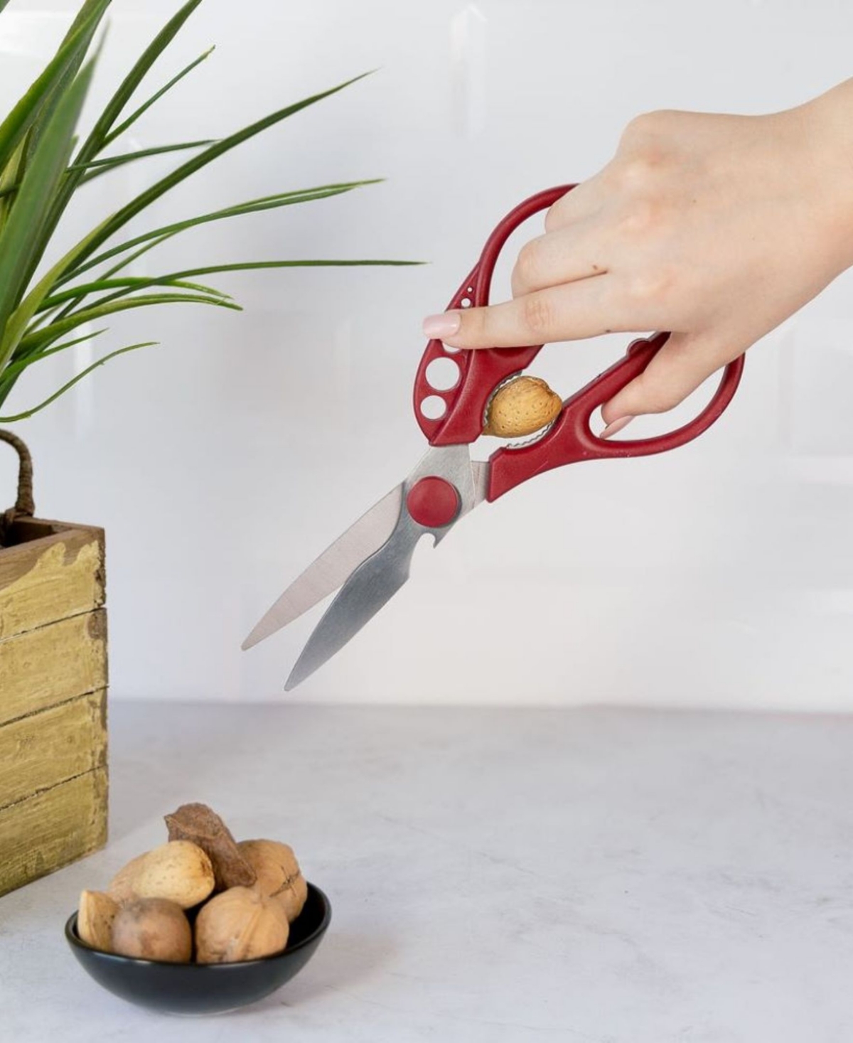 KitchInventions Strip-n-Snip 8