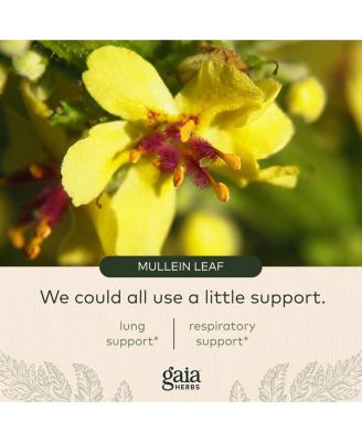 Mighty Lungs - Lung Support Supplement to Help Maintain Overall Lung & Respiratory Health - With Mullein, Plantain, Schisandra & Elecampane - 60 Liquid Phyto-Capsules (30-Day Supply)