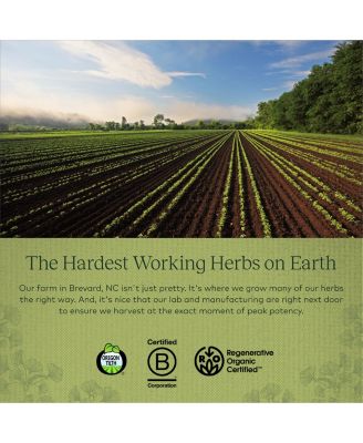 Ginkgo Leaf - Traditionally Used to Support Healthy Circulation and Brain Function - Organic, Herbal Supplement - 60 Liquid Phyto-Capsules (20-Day Supply)