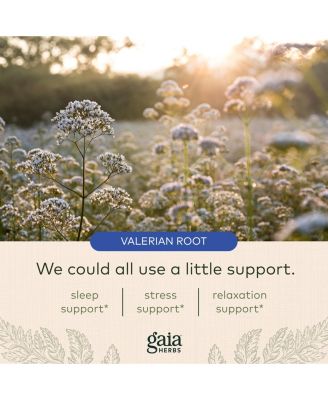 Valerian Root - Natural Sleep Support for a Natural Calm to Help Relaxation to Prepare for Sleep - With Organic Valerian Root Extract - 60 Liquid Phyto-Capsules (30-Day Supply)