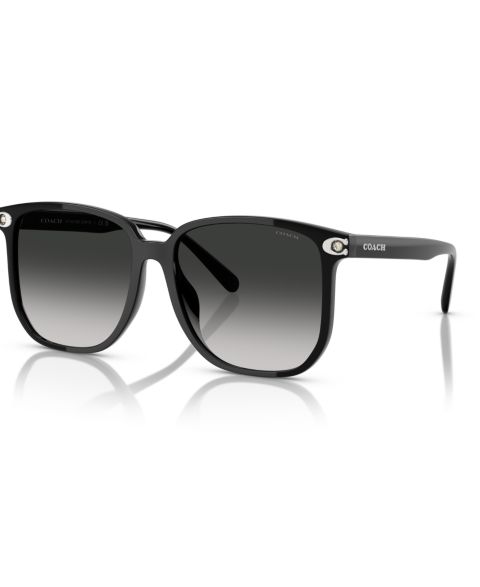 Женские солнцезащитные очки Coach Sunglasses, CW419 HC8413BD, цвет: Чёрный