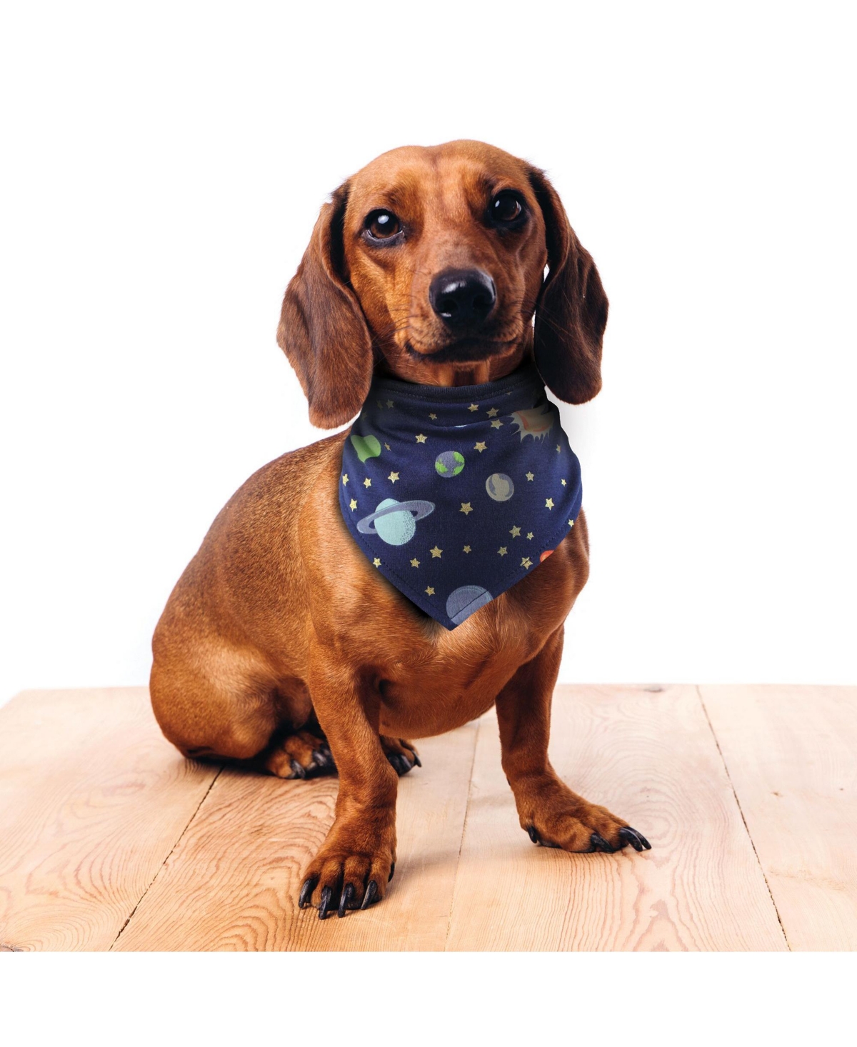 Luvable Friends Dog Reversible Pet Dog and Cat Bandana Bibs 2pk, One Size - Space camo