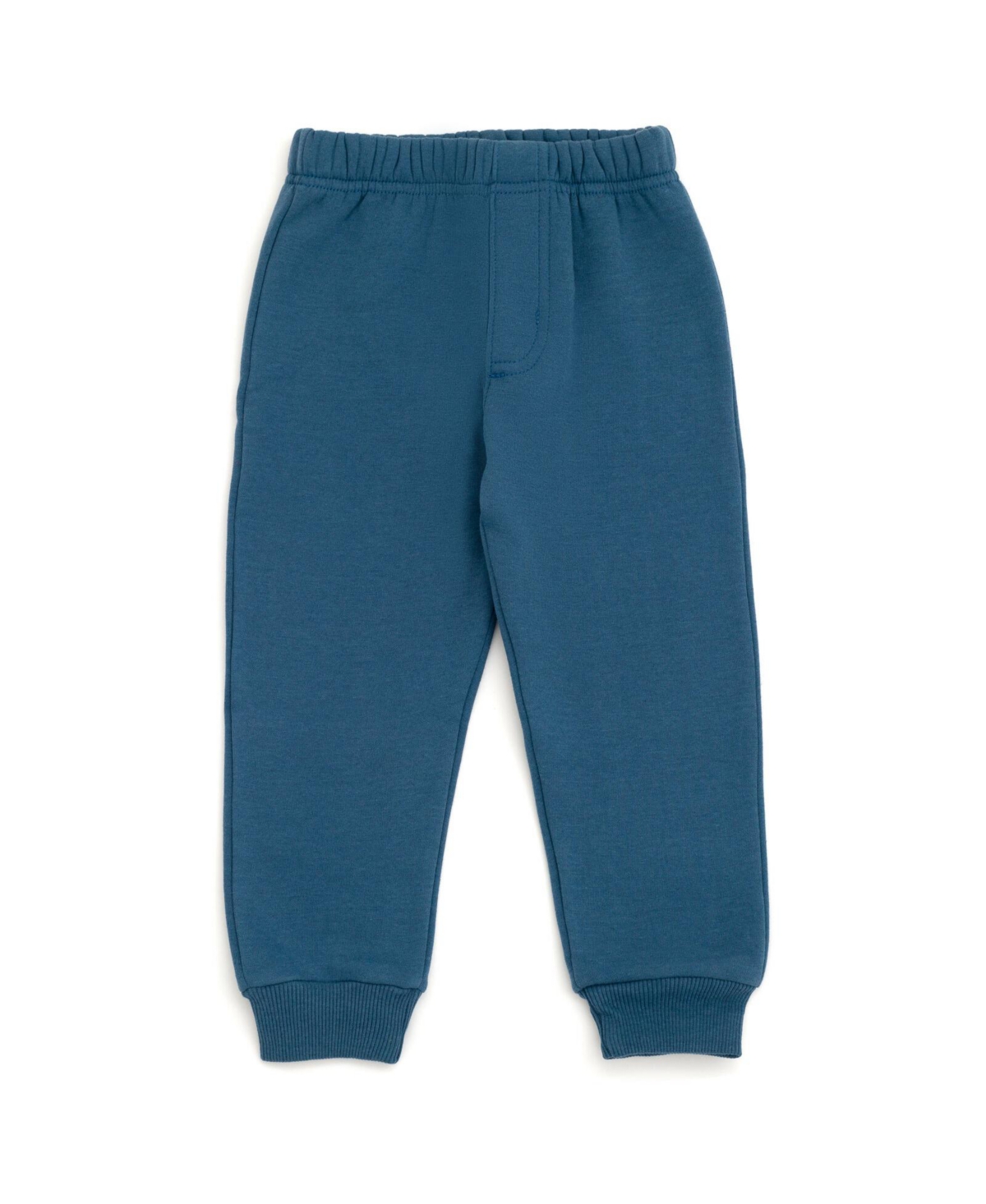 Bluey Toddler Boys Fleece Pullover Hoodie and Pants Outfit Set -/ blue, bluey