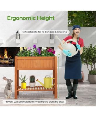 Outdoor Raised Garden Bed Fir Wood Planter Box with Bottom Storage Shelf and Protective Liner