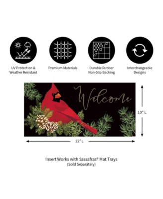 Cardinal and Sassafras Indoor Outdoor Switch Doormat 1'10"x10" Multicolored