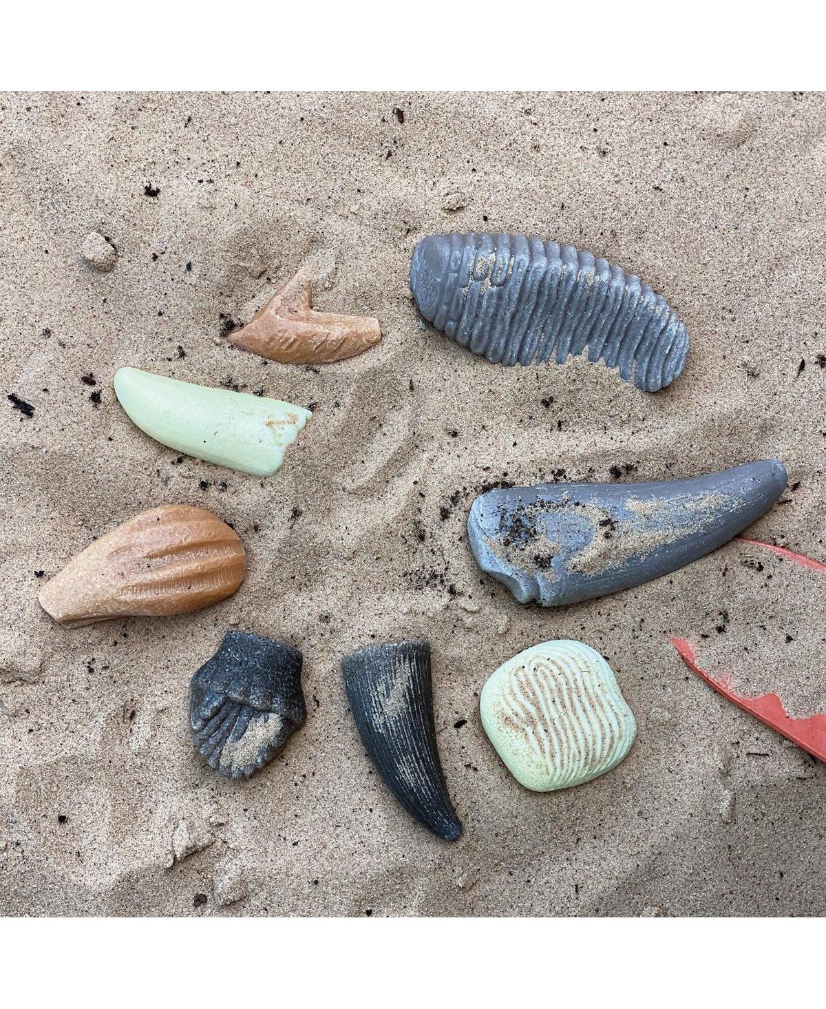 Yellow Door Sensory Play Stones: Prehistoric Teeth - 8 Pieces
