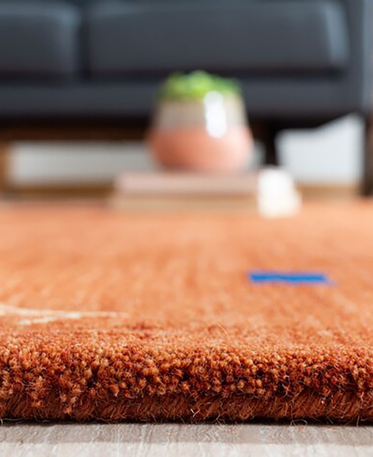 Safavieh Himalaya HIM563P 6'x6' Area Rug