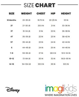 Toddler Girls Classics Princess Lilo & Stitch Winnie the Pooh T-Shirt & Chambray Shorts to (12 Months - 14-16)