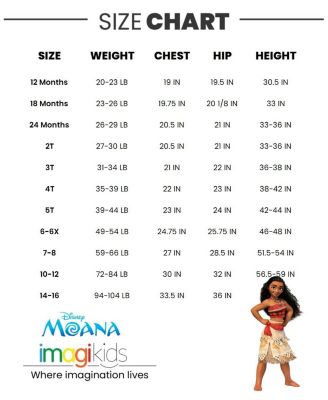 Toddler Girls Moana Pullover Hoodie and Leggings Outfit Set to Big Kid