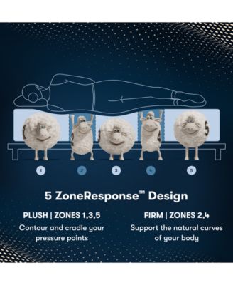 iComfortPro Ambrose 13" Latex Foam Plush Mattress Set - Queen Split 