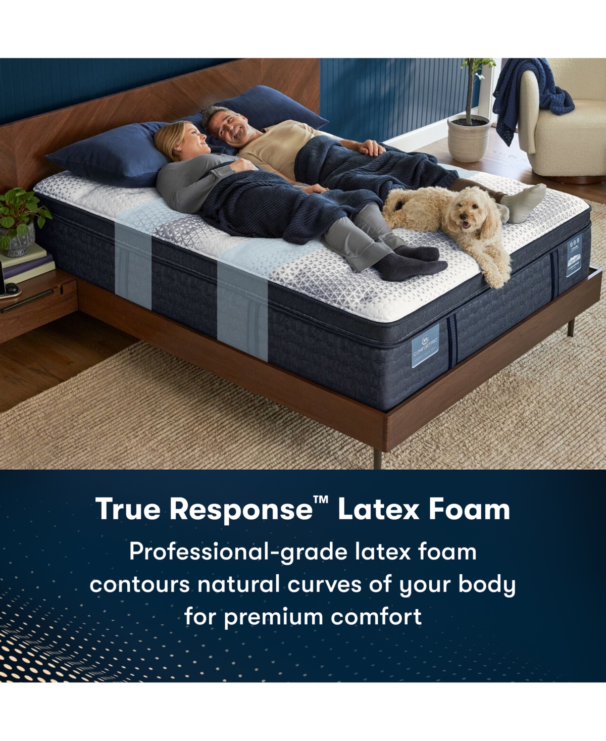 Serta Icomfortpro Dartmouth 15" Latex Foam Plush Pillow Top Mattress Set In No Color