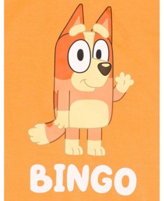 Toddler Boys Fleece Pullover Hoodie and Pants Outfit Set