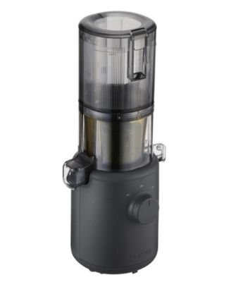 H310 Personal Easy Clean Slow Juicer