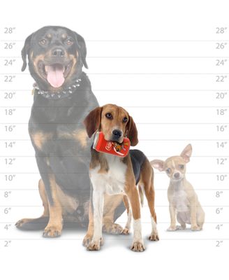 Silly Squeaker–Soda Can- Combo 4 Pack. Novelty Play Toy