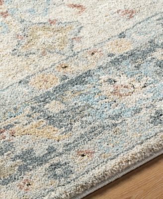 Avellino 528124 6'7"x9'2" Area Rug