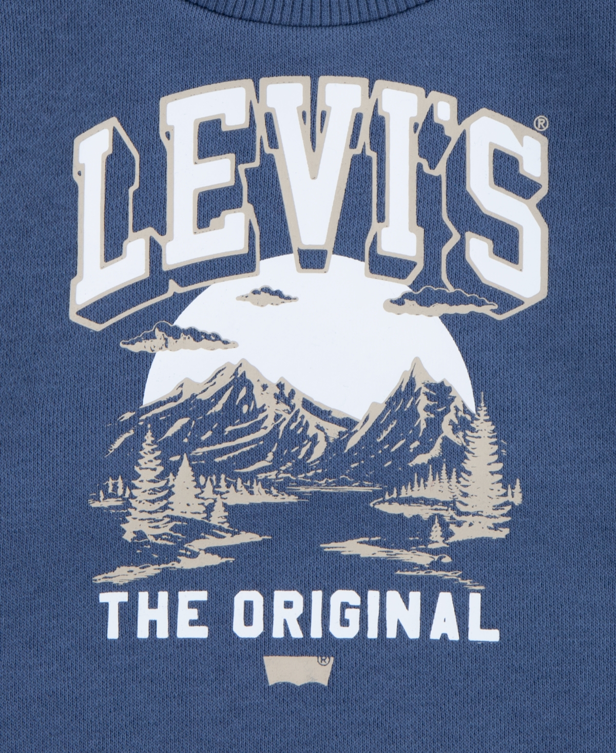 Levi's Baby Boys Mountain Crew Tee and Pants, 2-Piece Set