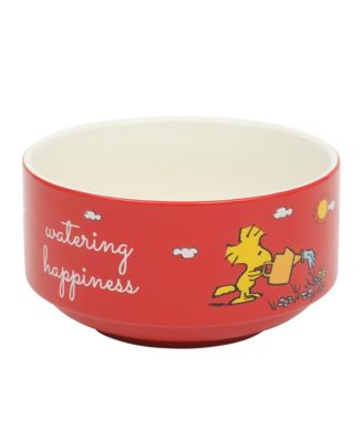 Snoopy 6 Pack Stackable 5.5" Decorated Stoneware Bowl Set W/ Plate