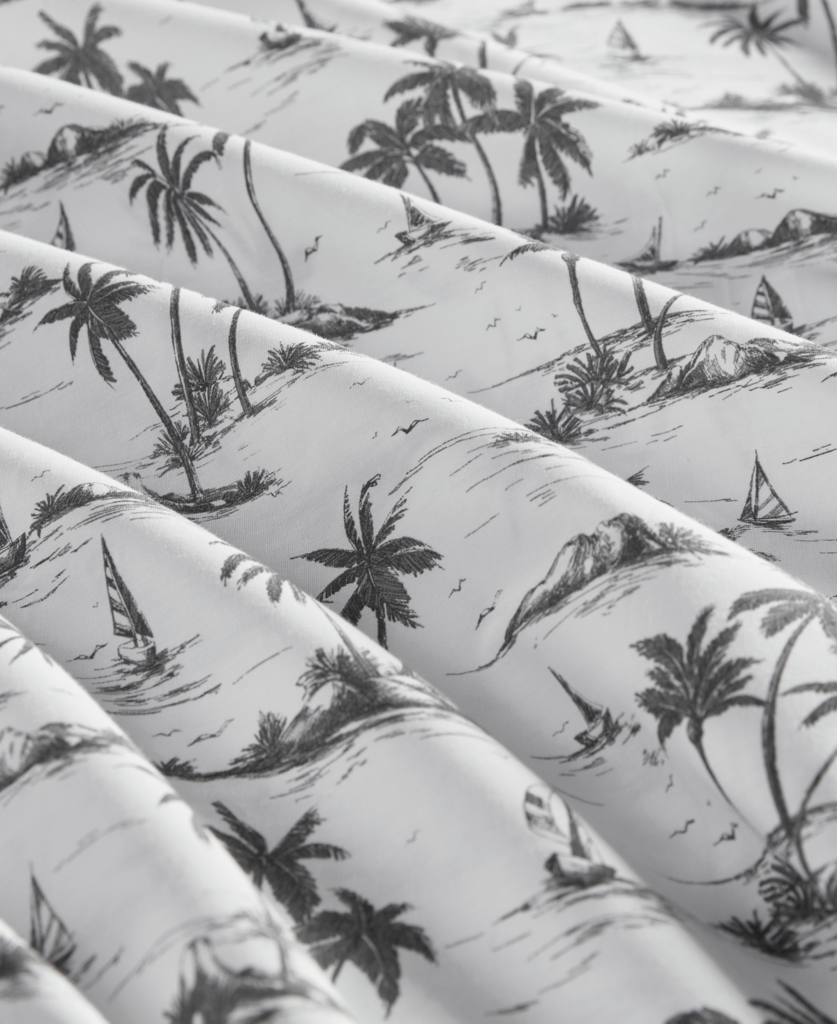 Madison Park Essentials Printed Cotton Percale 4-pc. Sheet Set, Full In Black Island