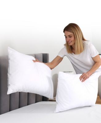 Soft and Plush Bed Pillow Insert, 2-Pack, Standard