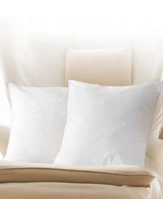 Cheer Collection 2-Pack Pillow Insert, 20" x 20"