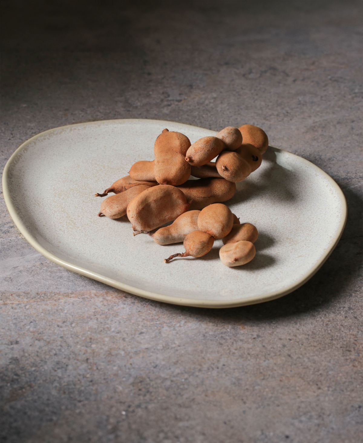 Porto Brasil Stoneware Oval Dinner Plates, Set Of 6 In Latte
