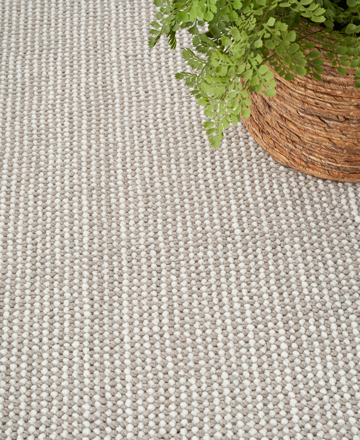 Nourison Home Natural Texture Ntx01 3'11"x5'11" Area Rug In Ivory