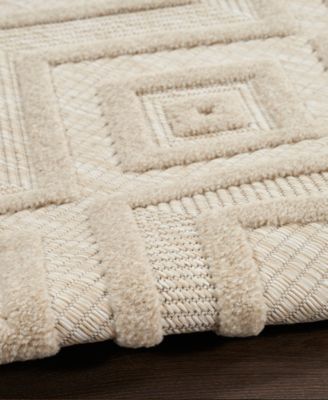 Versatile NRV01 4'x6' Area Rug