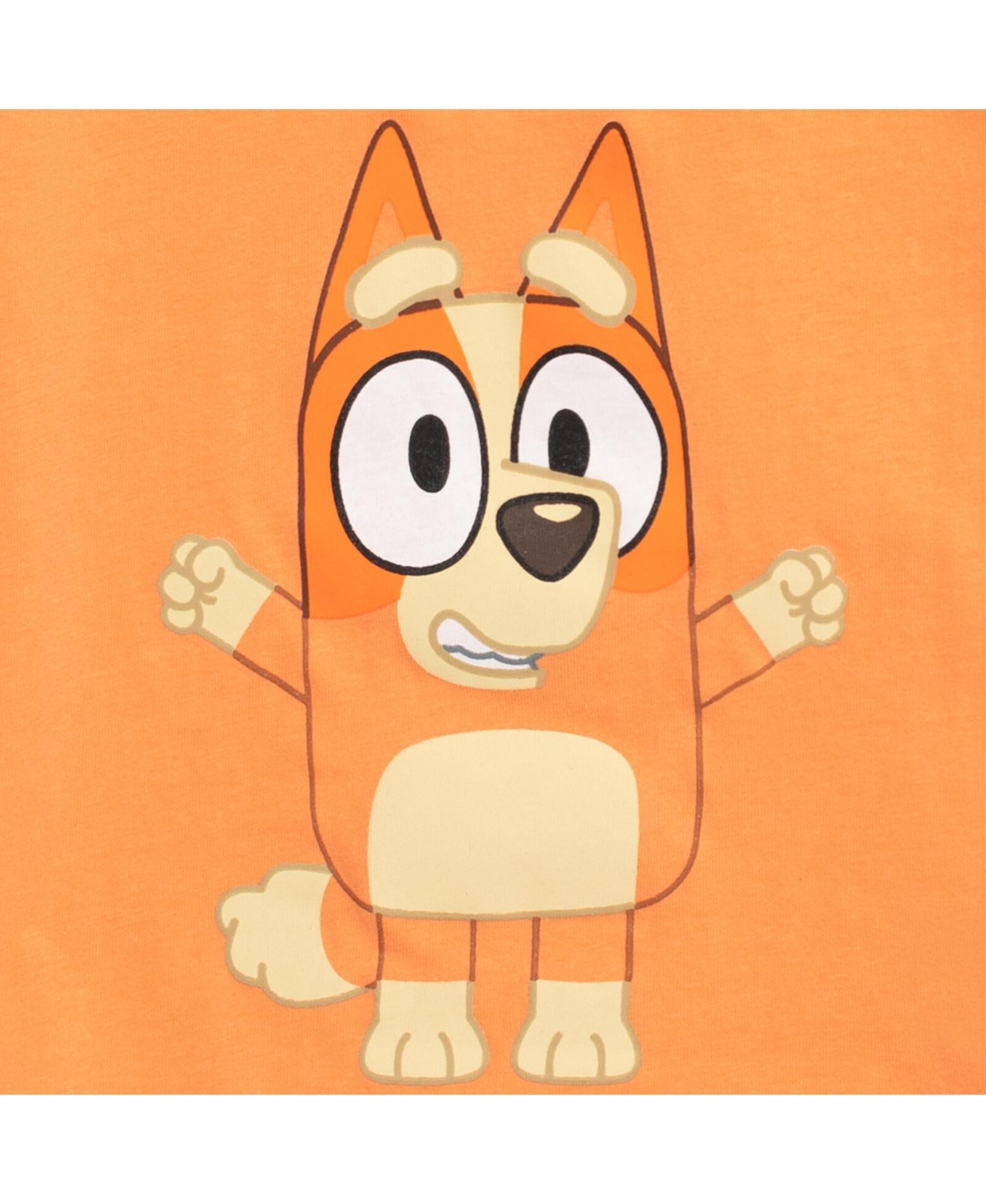 Bluey Boys Matching Family T-Shirt to (2T - 18-20) - orange
