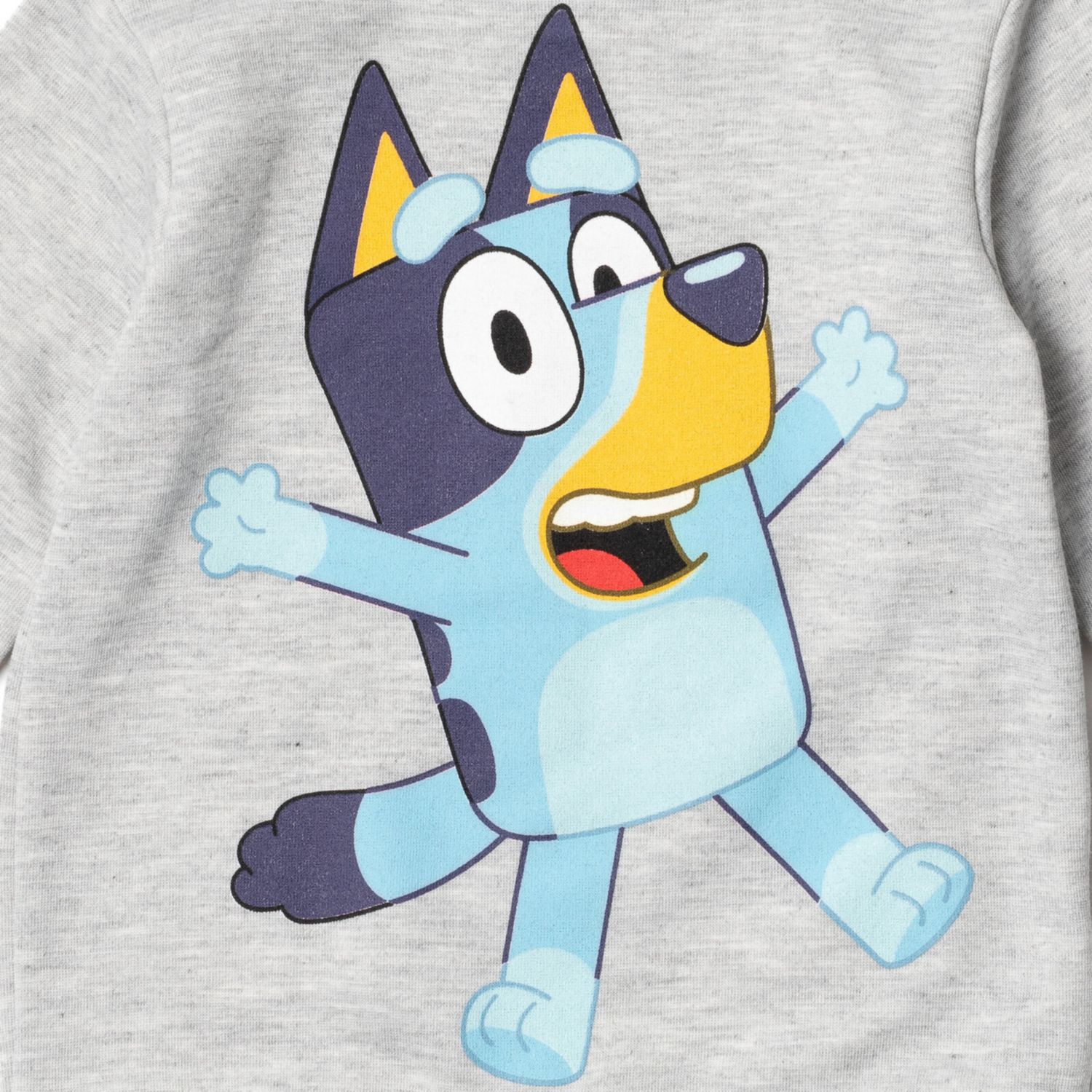 Boys ( 6 . 7-8 ) Sweatshirt and Fleece Pants Set