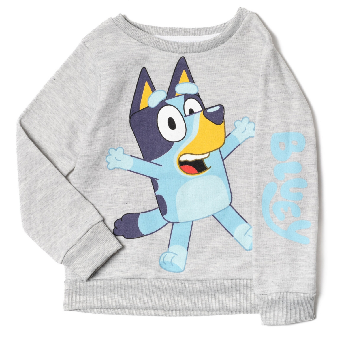 Bluey Toddler Boys Sweatshirt and Fleece Pants Set