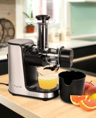 150 Watts Masticating Slow Juicer