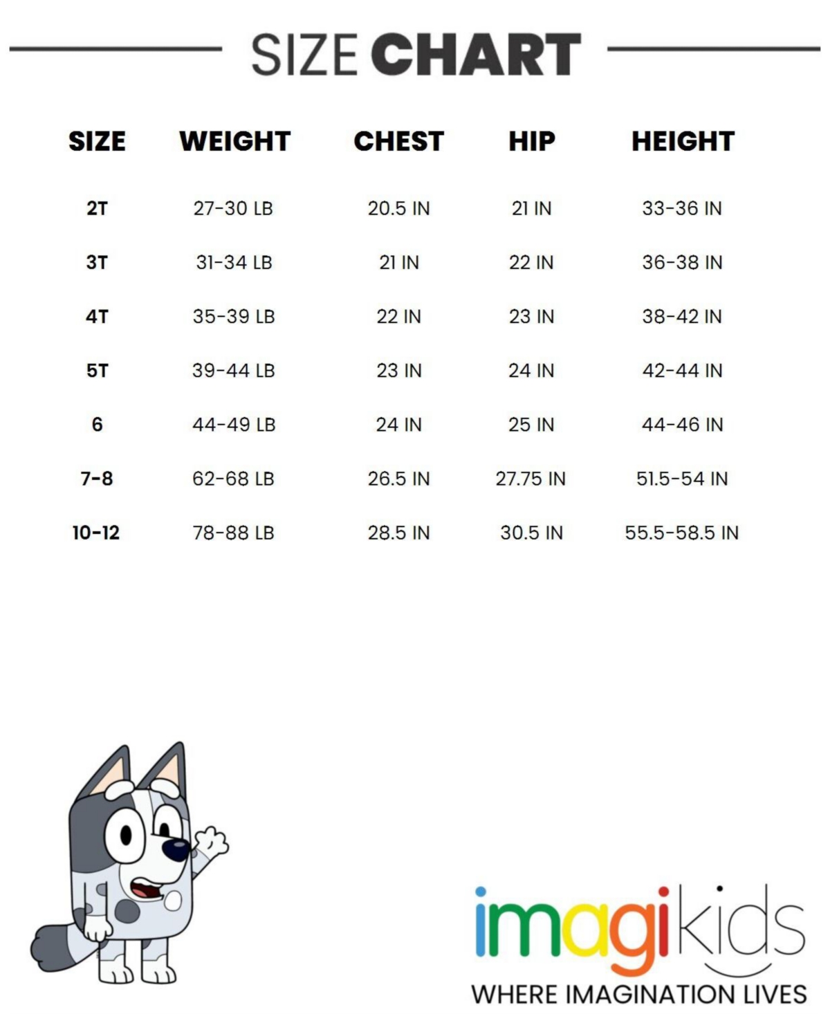 Bluey Toddler Boys Matching Family T-Shirt - blue