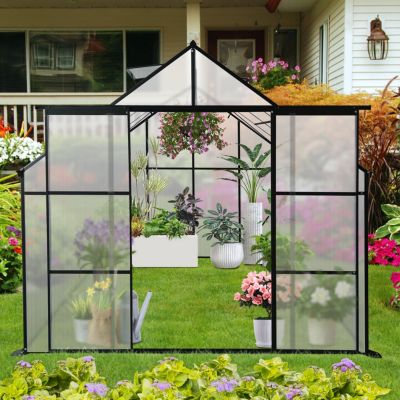 Streamdale Black Polycarbonate Greenhouse (8x6ft) with Raised Base and Aluminum Walk-In Design