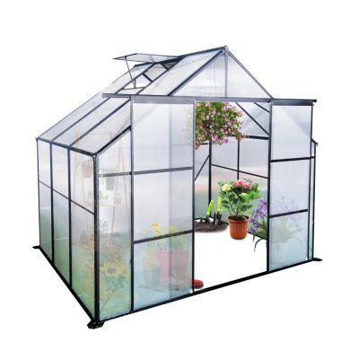 Streamdale Black Polycarbonate Greenhouse (8x6ft) with Raised Base and Aluminum Walk-In Design