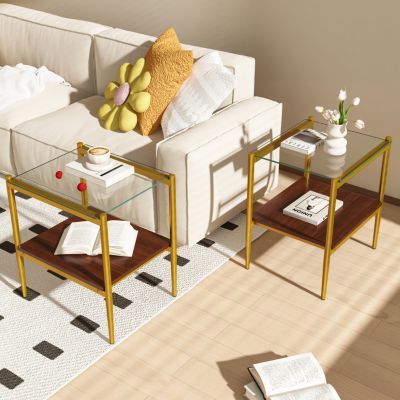 Modern Rectangle Glass End Table Set (2