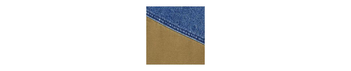 Desigual Men's Denim cargo trousers