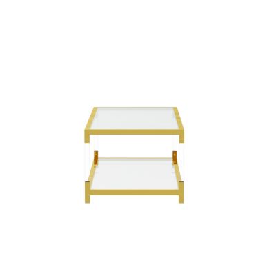  Gold Metal & Acrylic Coffee Table