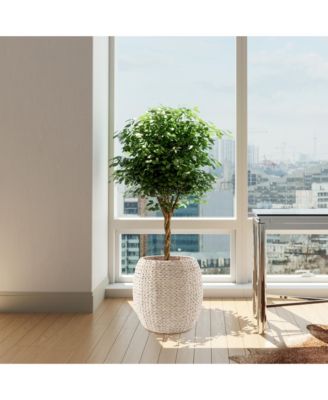 Round Storage Basket with Lid, Whitewash - Handwoven Water Hyacinth Hamper Organizer for Laundry, Blankets, Plants