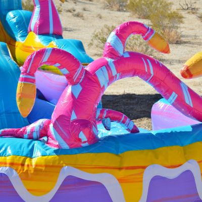 Mystery Jungle 19 ft Commercial Grade Inflatable Water Slide with Pool (with Blower)