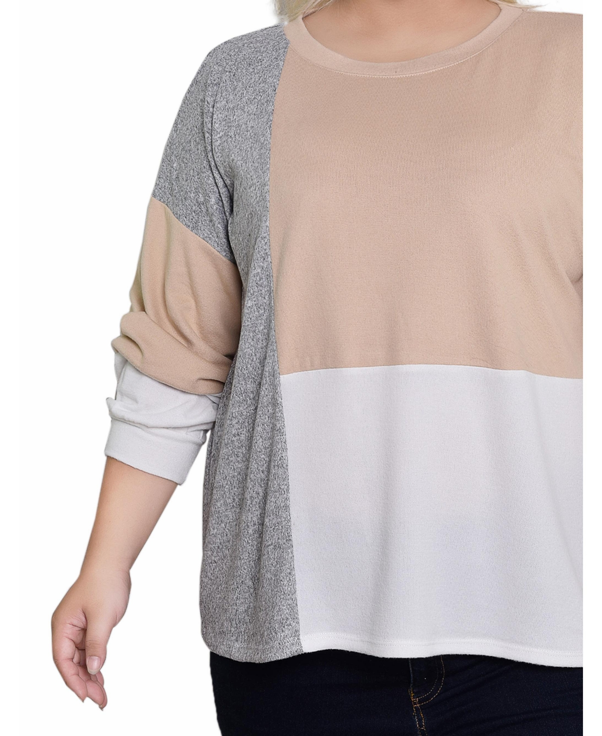 Ny Collection Plus Size Long Sleeve Color Blocked Pullover Top In Tan,ivory,grey