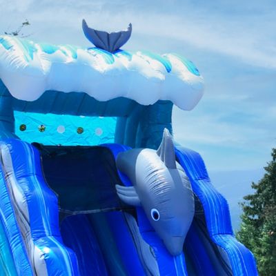 Dolphin 15 ft Inflatable Water Slide (with Blower)
