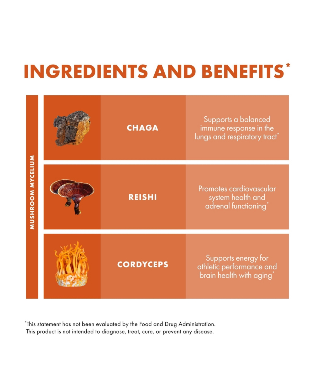 Host Defense Breathe Powder - Immune & Respiratory Support Mushroom Supplement - Herbal Lung Health Support Supplement with Chaga, Reishi & Cordyceps