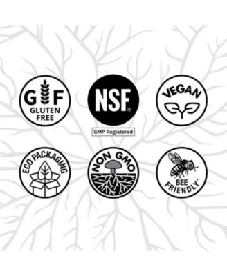 MycoBotanicals Brain Capsules - Brain Support Supplement with Lion's Mane, Reishi & Cordyceps Mushroom - Herbal Supplement for Memory & Focus Support - 60 Capsules (30 Servings)