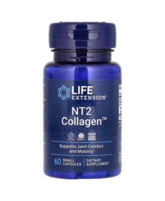 Life Extension