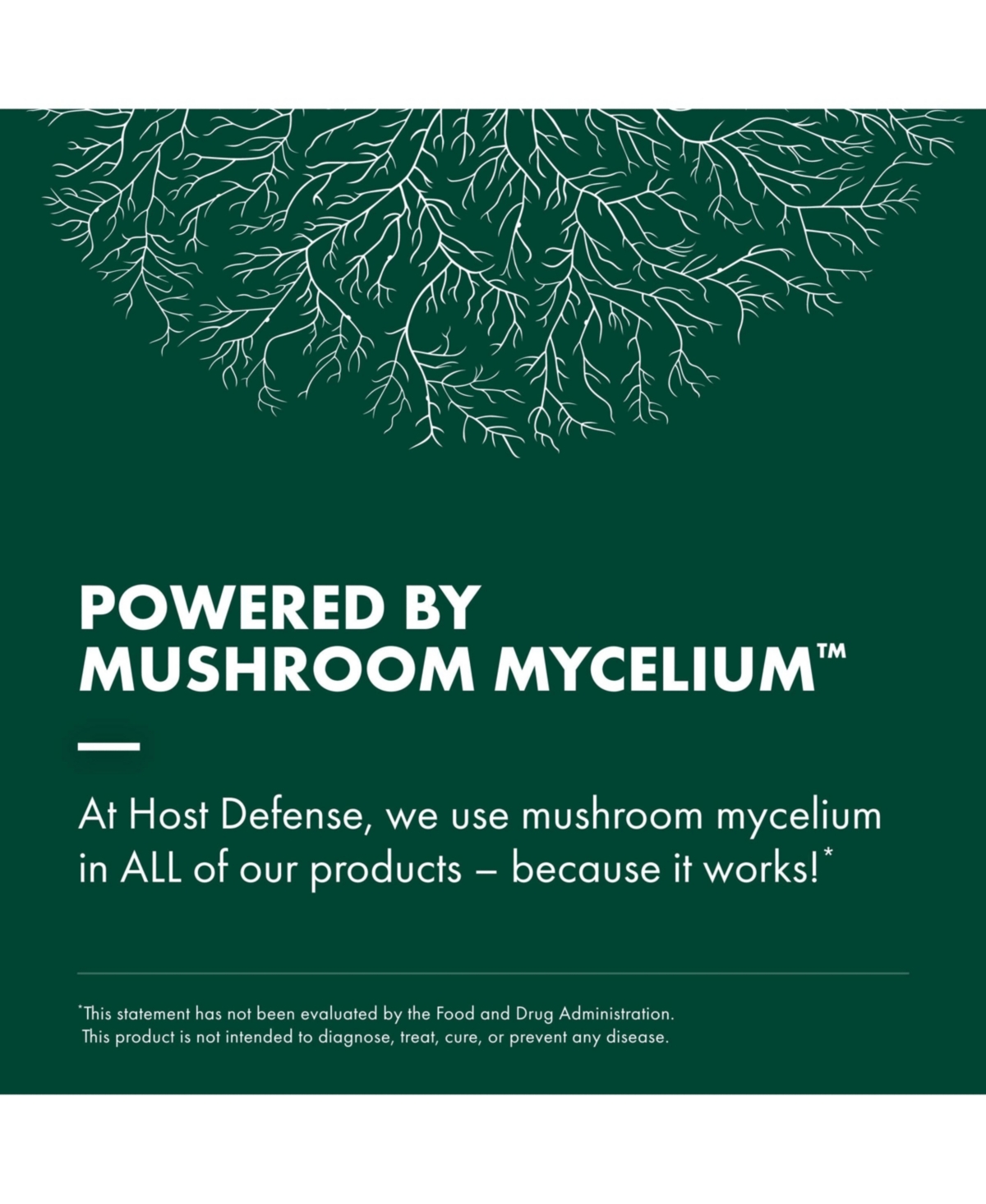 Host Defense The Mushroom Cultivator: A Practical Guide to Growing Mushrooms at Home by Paul Stamets and J.s. Chilton - Book About Mycology & Growing