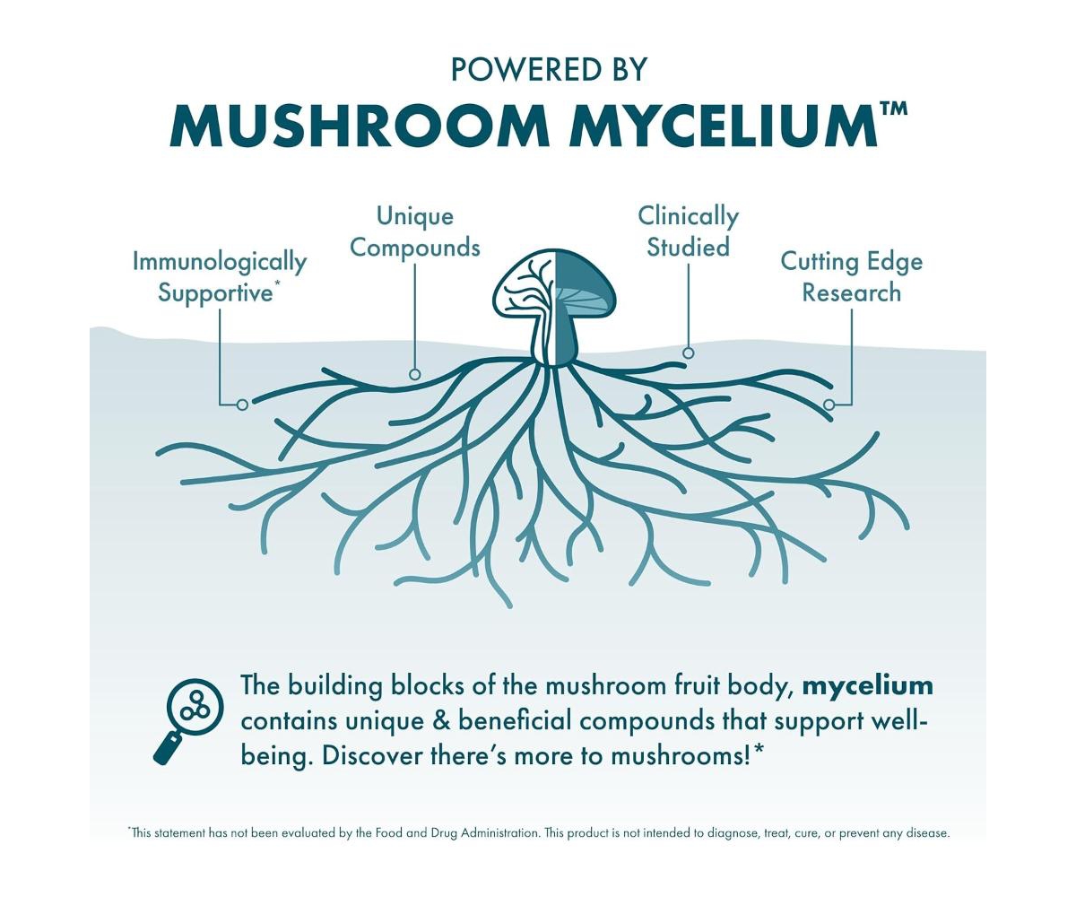 Host Defense CordyChi Capsules - Energy & Immune Support Supplement