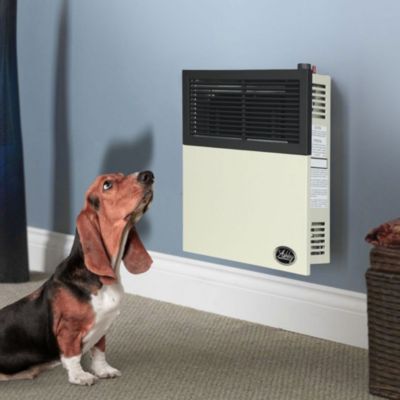 11,000 BTU Direct Vent Liquid Propane Wall Mount Heater