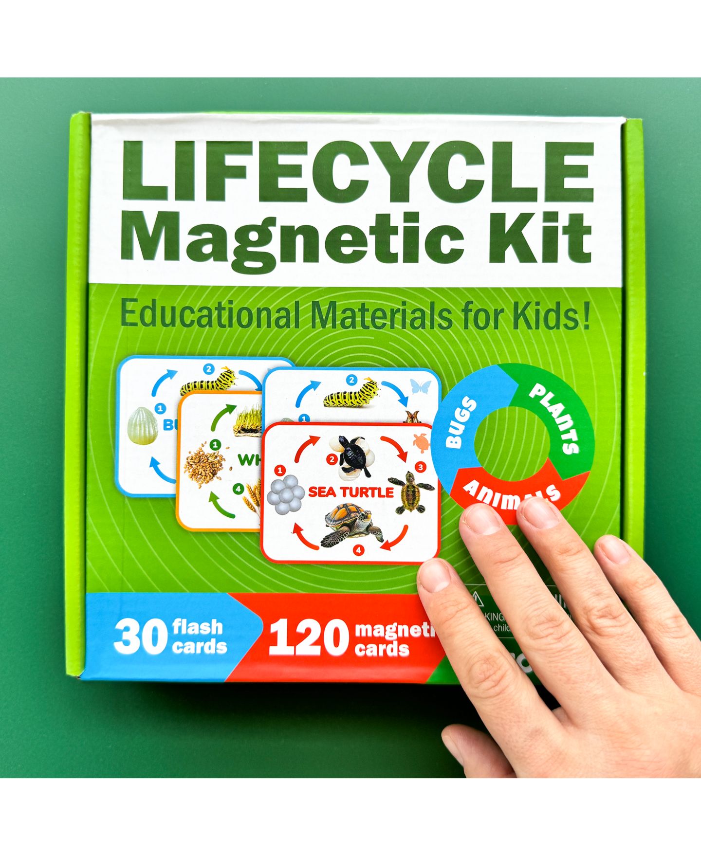 Детские игрушки Quokka Lifecycle Magnetic Kit Life Cycle Science Kit, Ages 3+ — фото 6