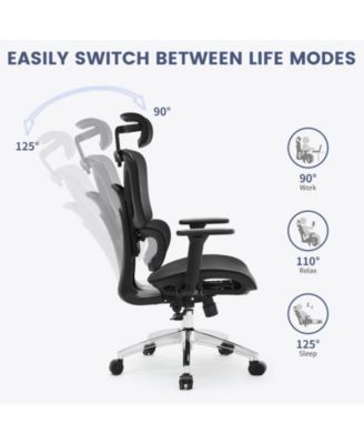 Ergonomic Office Chair, High Back Ergonomic Desk Chair with Adjustable Lumbar Support