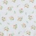 Apricot/White